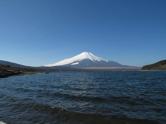 Canon Digital Camera PowerShot SX530HS Optical 50 times Zoom PSSX530HS black